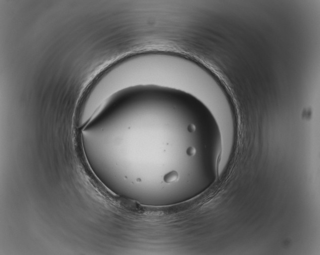 X0000116000391200912101322