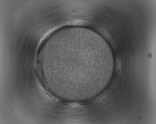 X0000116000392200912101322