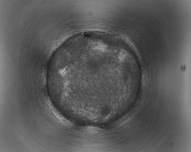 X0000116000393200912101322