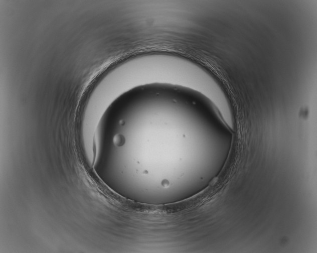 X0000116000395200912101322