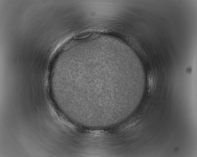 X0000116000396200912101322