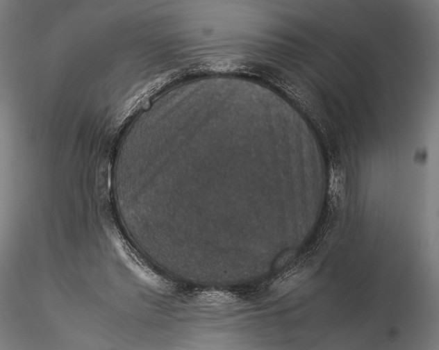 X0000116000397200912101322