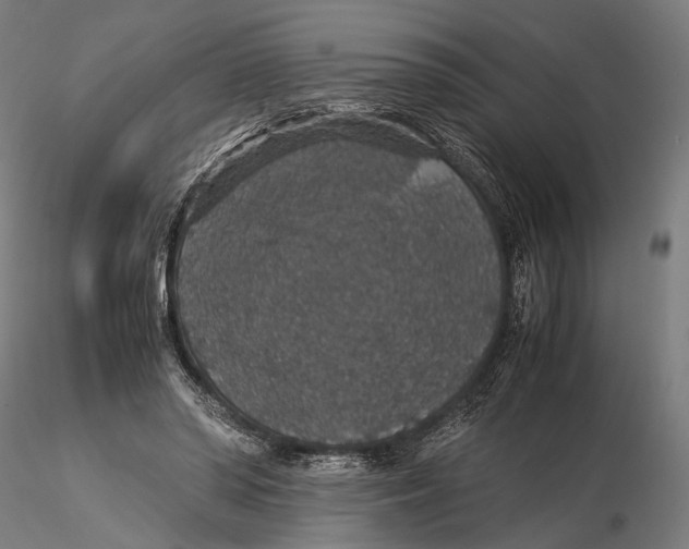 X0000116000398200912101322