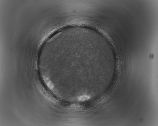 X0000116000399200912101322