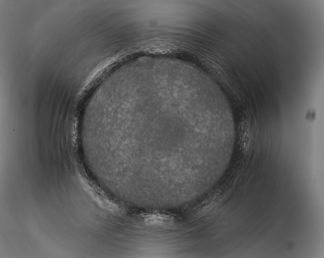 X0000116000400200912101322