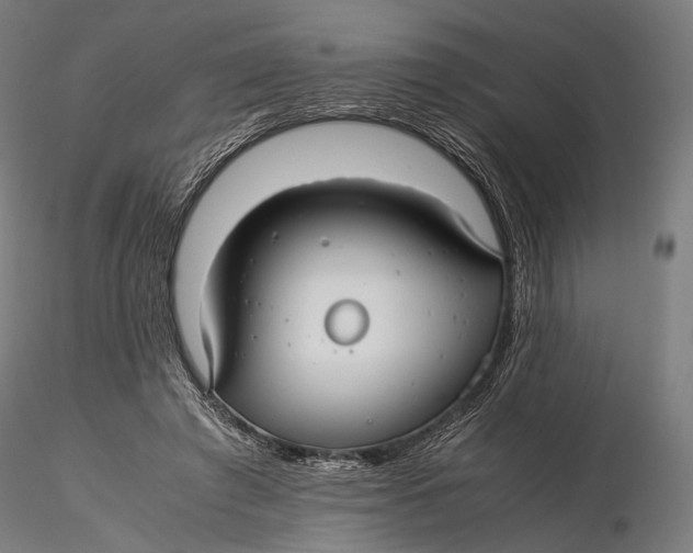 X0000116000401200912101322