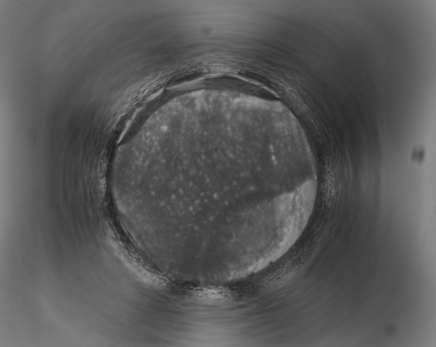 X0000116000402200912101322