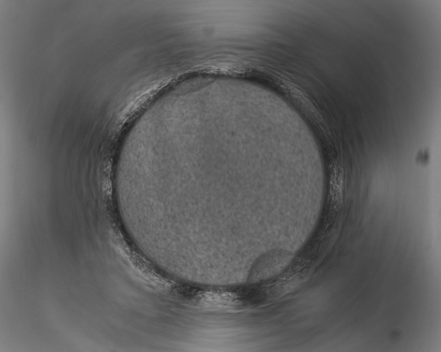 X0000116000403200912101322