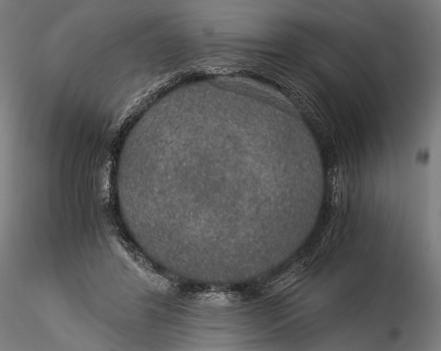 X0000116000404200912101322