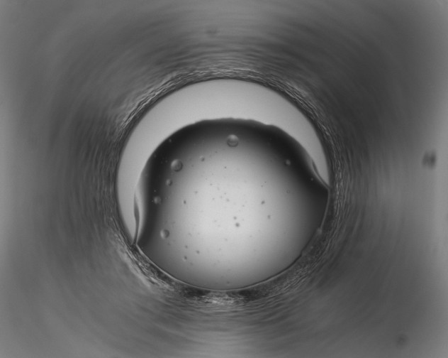 X0000116000405200912101322