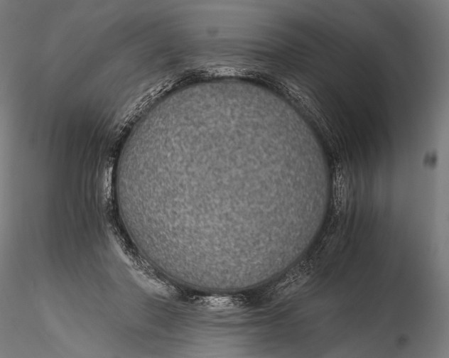 X0000116000406200912101322