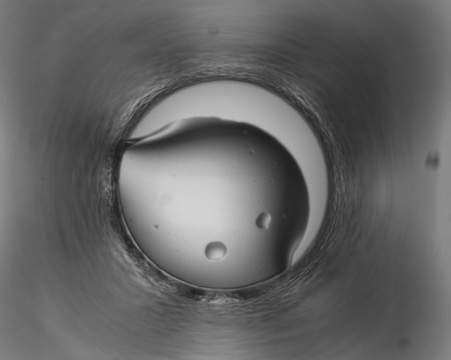 X0000116000407200912101322