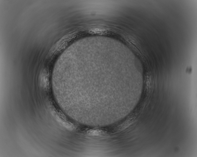 X0000116000408200912101322