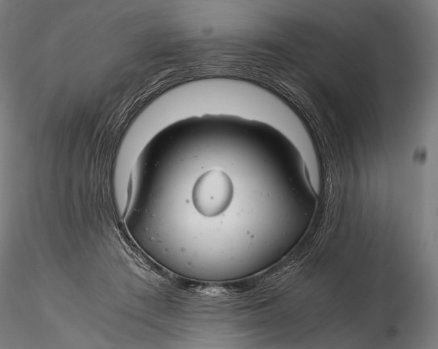 X0000116000409200912101322