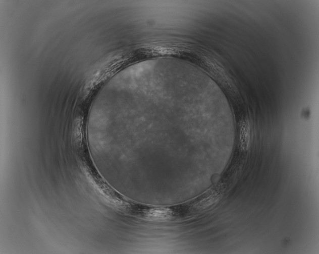 X0000116000410200912101322