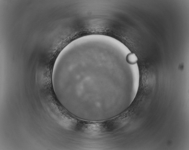 X0000116000411200912101322