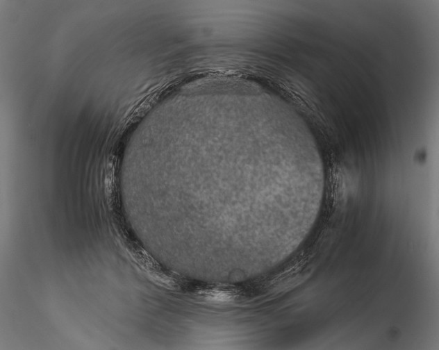 X0000116000412200912101322