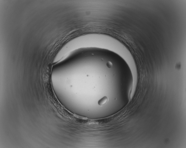 X0000116000413200912101322