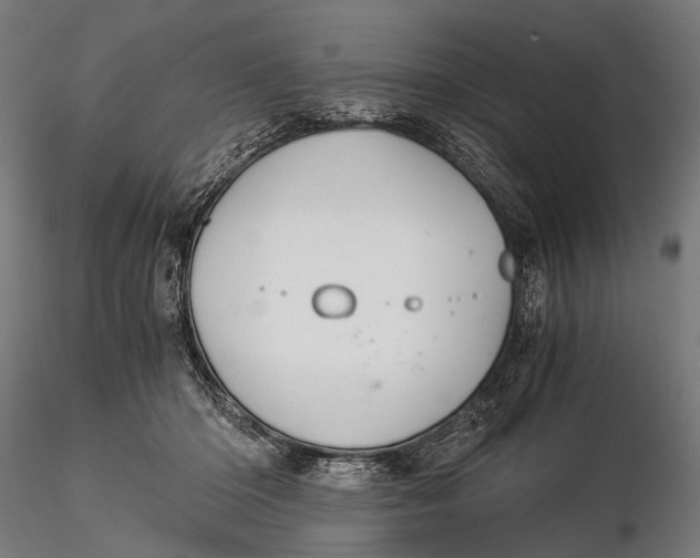 X0000116000414200912101322