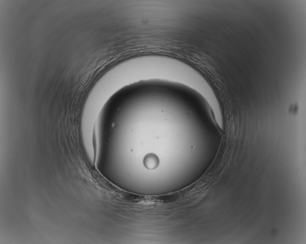 X0000116000415200912101322