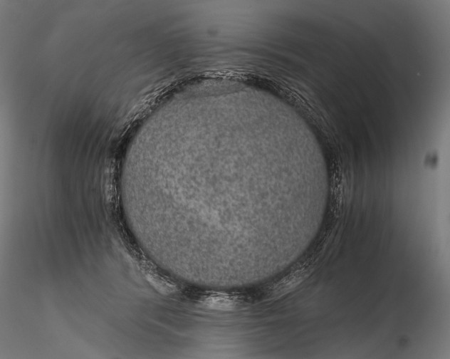 X0000116000416200912101322