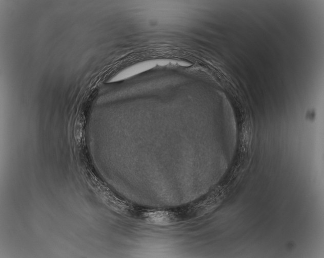 X0000116000417200912101322