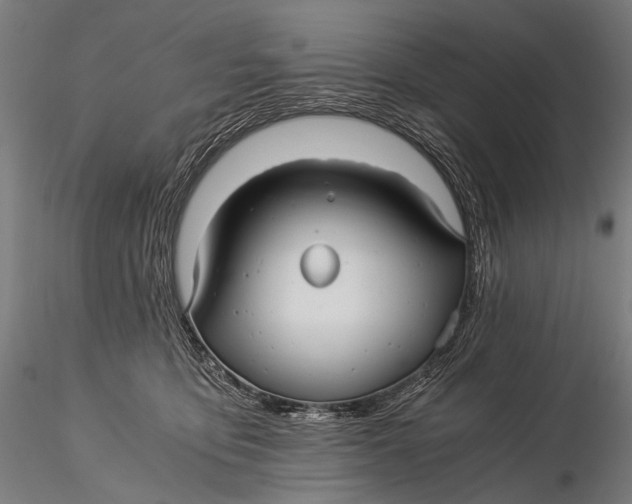 X0000116000419200912101322