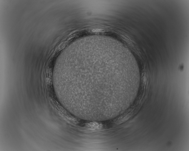 X0000116000421200912101322