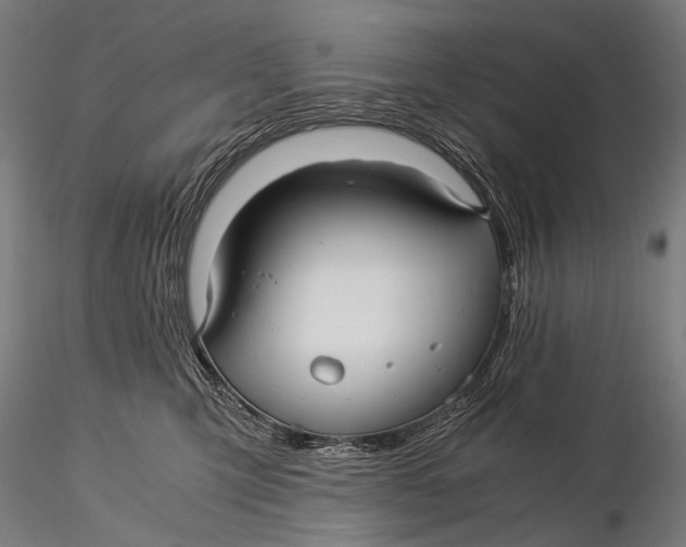 X0000116000423200912101322