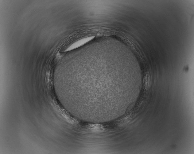 X0000116000424200912101322