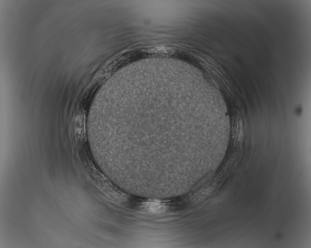 X0000116000425200912101322