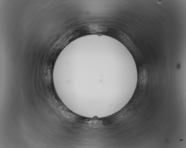 X0000116000426200912101322