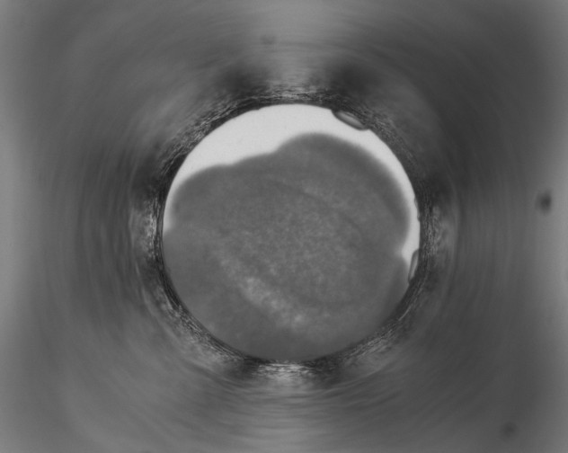 X0000116000427200912101322