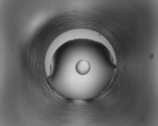 X0000116000429200912101322