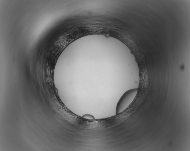 X0000116000430200912101322