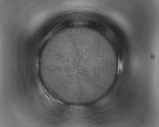 X0000116000435200912101321