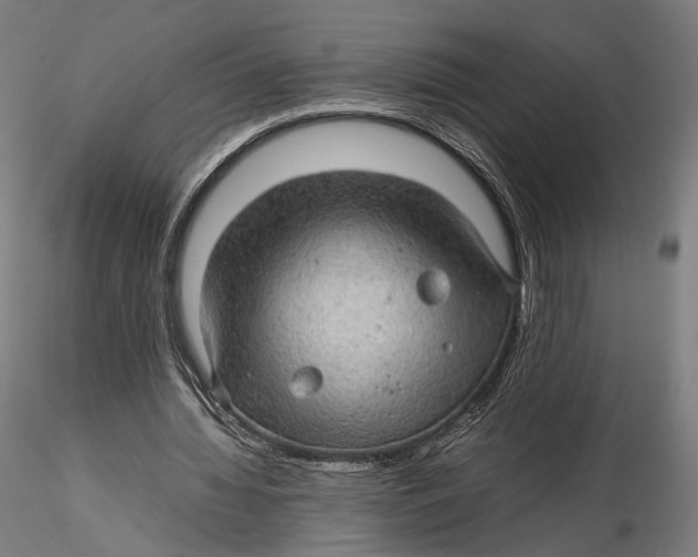 X0000116000436200912101321