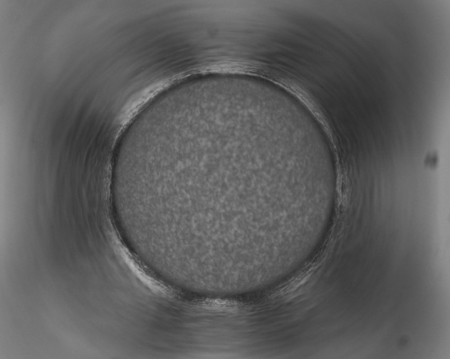 X0000116000437200912101321