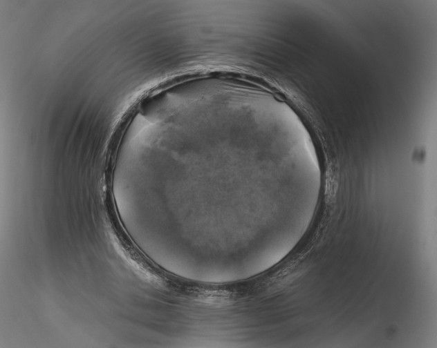 X0000116000438200912101321