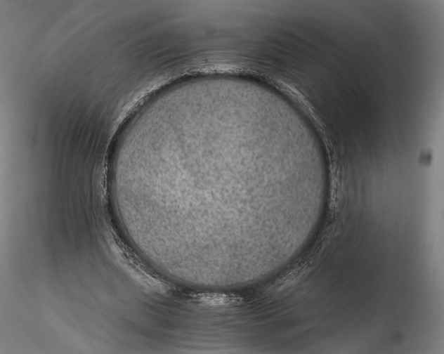 X0000116000439200912101321