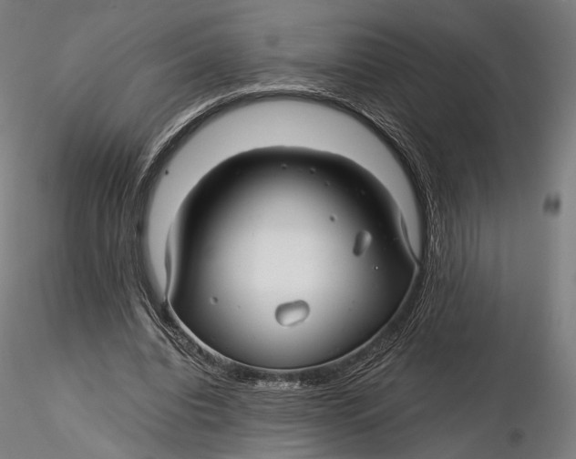 X0000116000440200912101321