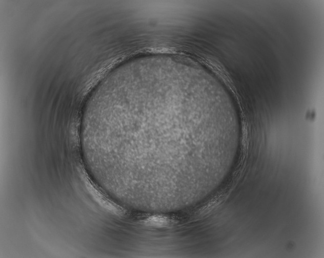 X0000116000441200912101321