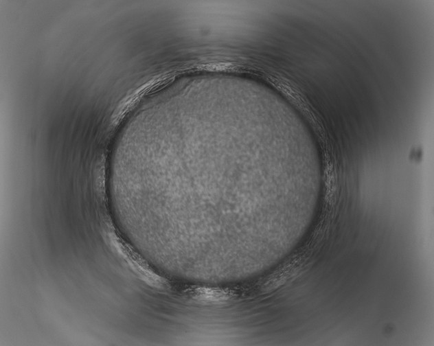 X0000116000442200912101321