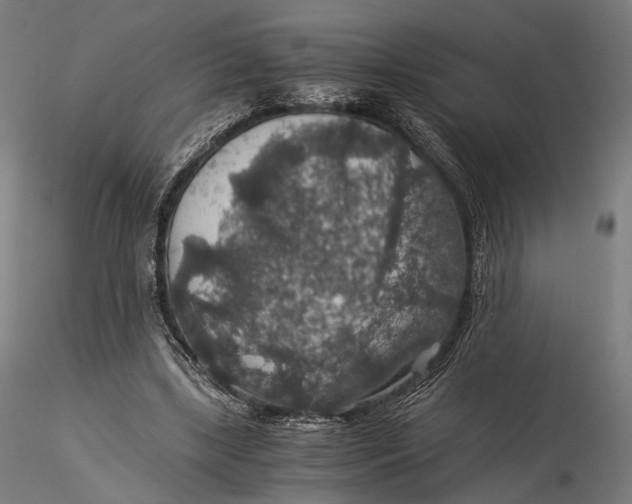 X0000116000443200912101321