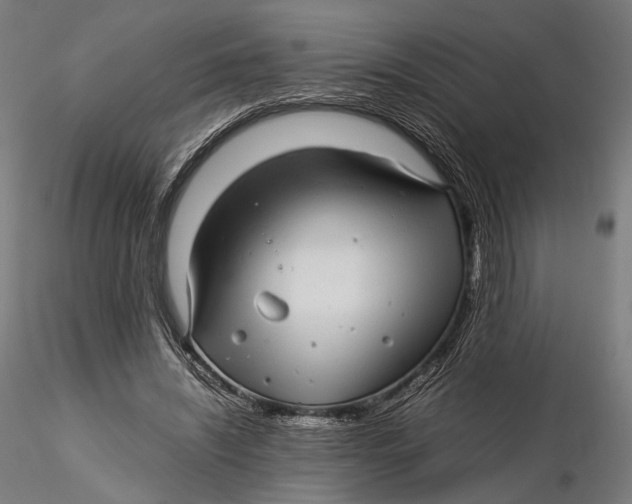 X0000116000444200912101321