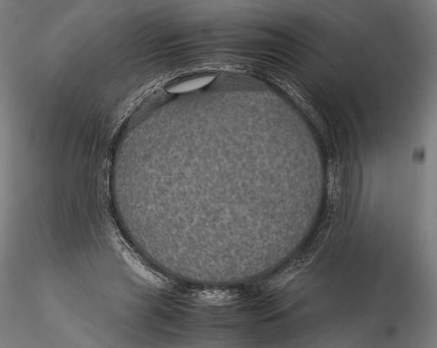 X0000116000445200912101321