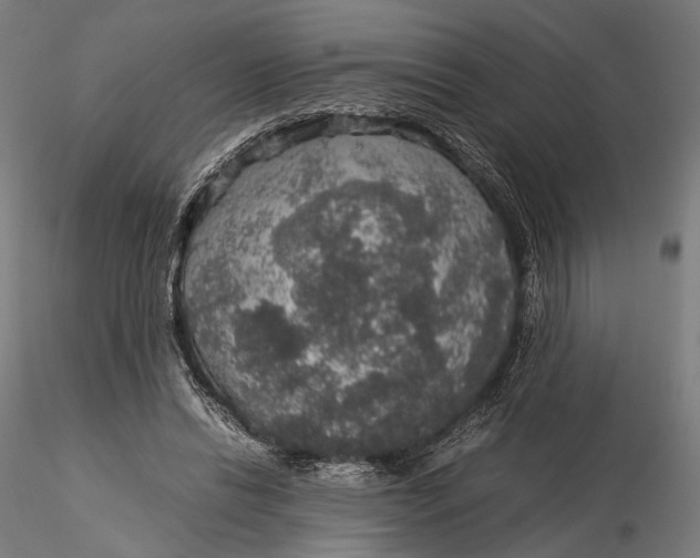 X0000116000446200912101321