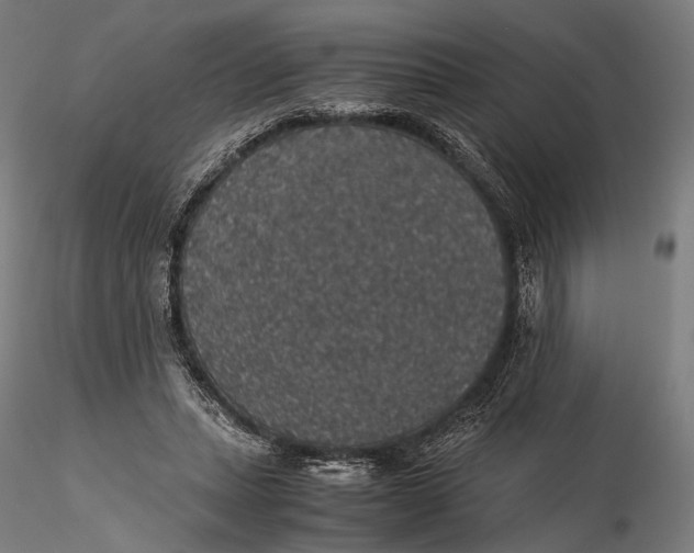 X0000116000447200912101321