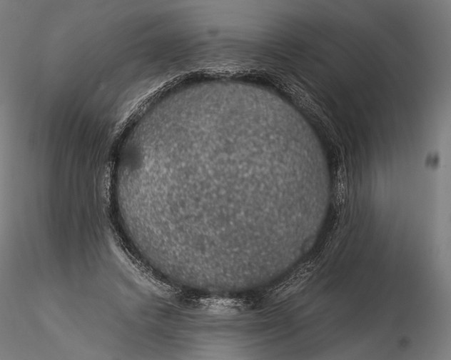 X0000116000448200912101321