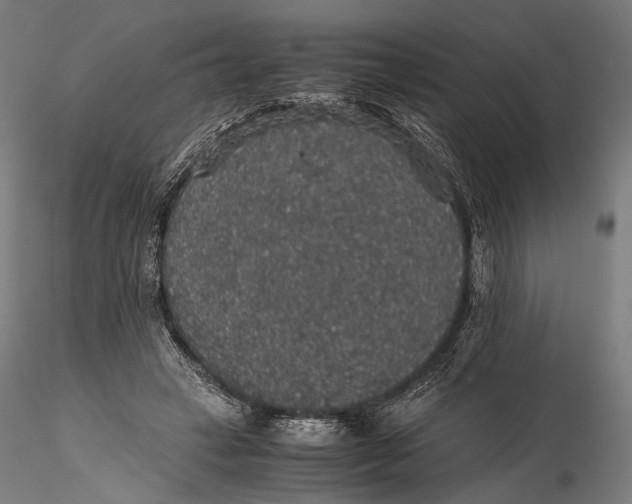 X0000116000449200912101321